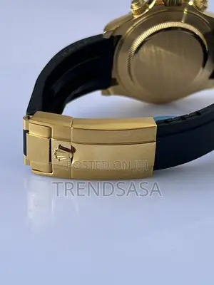 Rolex Eye of the Tiger Watch