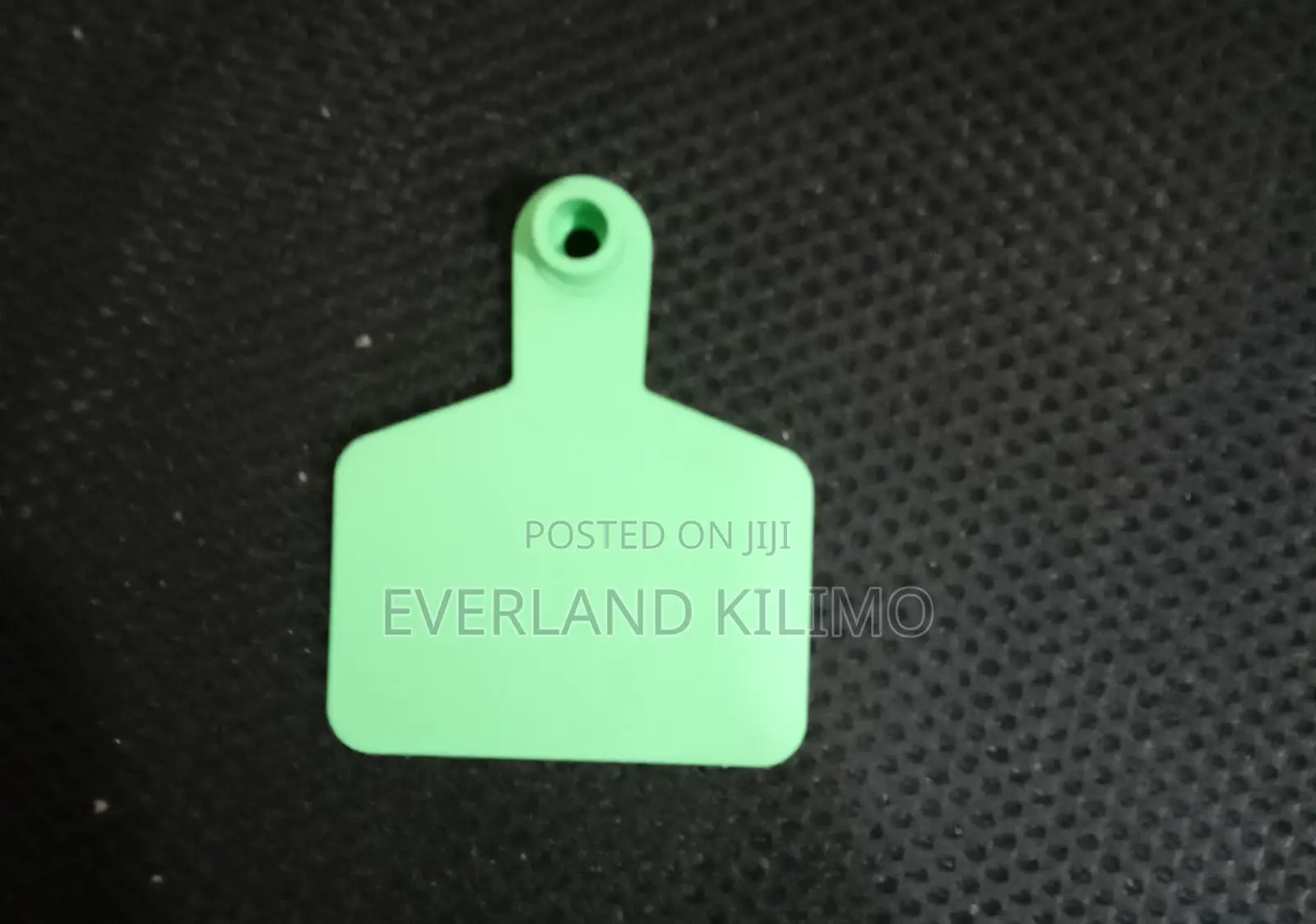 Green Medium Cows Tags