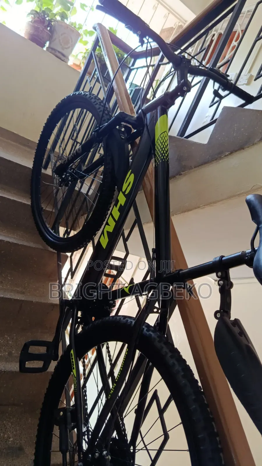 Mountain Bike
