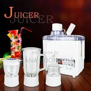 Roch 4 in 1 Juicer -Blender-Grinder and Mill Food Processor