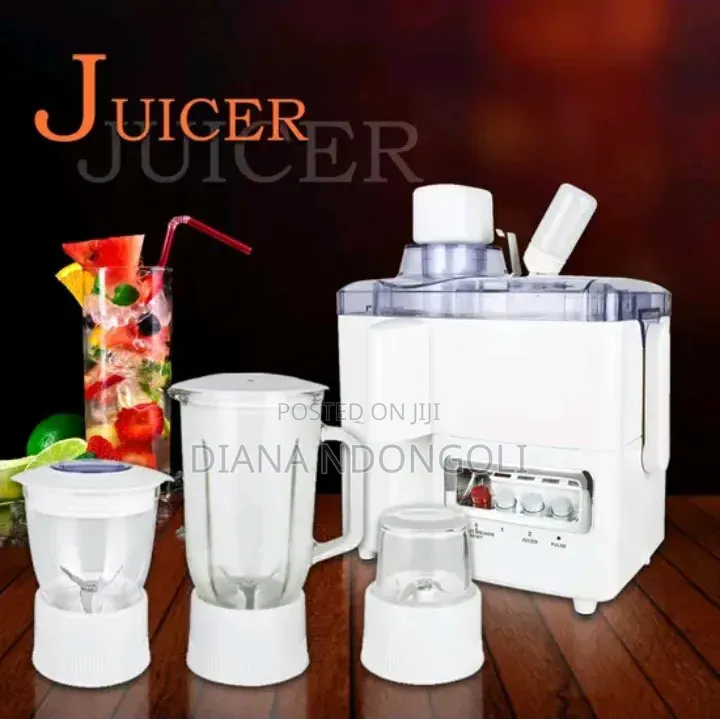 Roch 4 in 1 Juicer -Blender-Grinder and Mill Food Processor