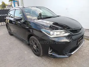Toyota Axio 2019 Black