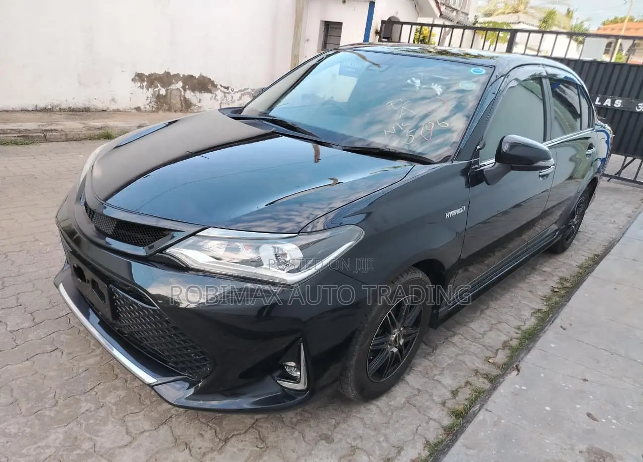 Toyota Axio 2019 Black