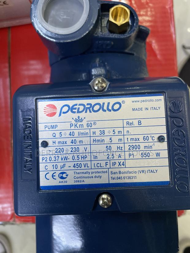 Davis and Shirtliff Pedrollo 0.5hp Water Pump - thumbnail 2