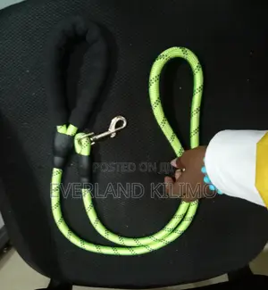 Reflective Leash