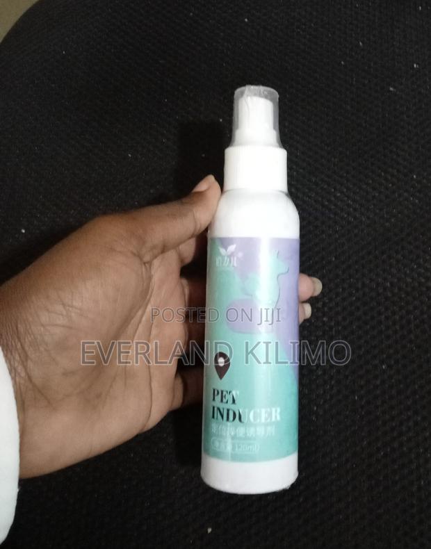 Training Poop Spray for Pets