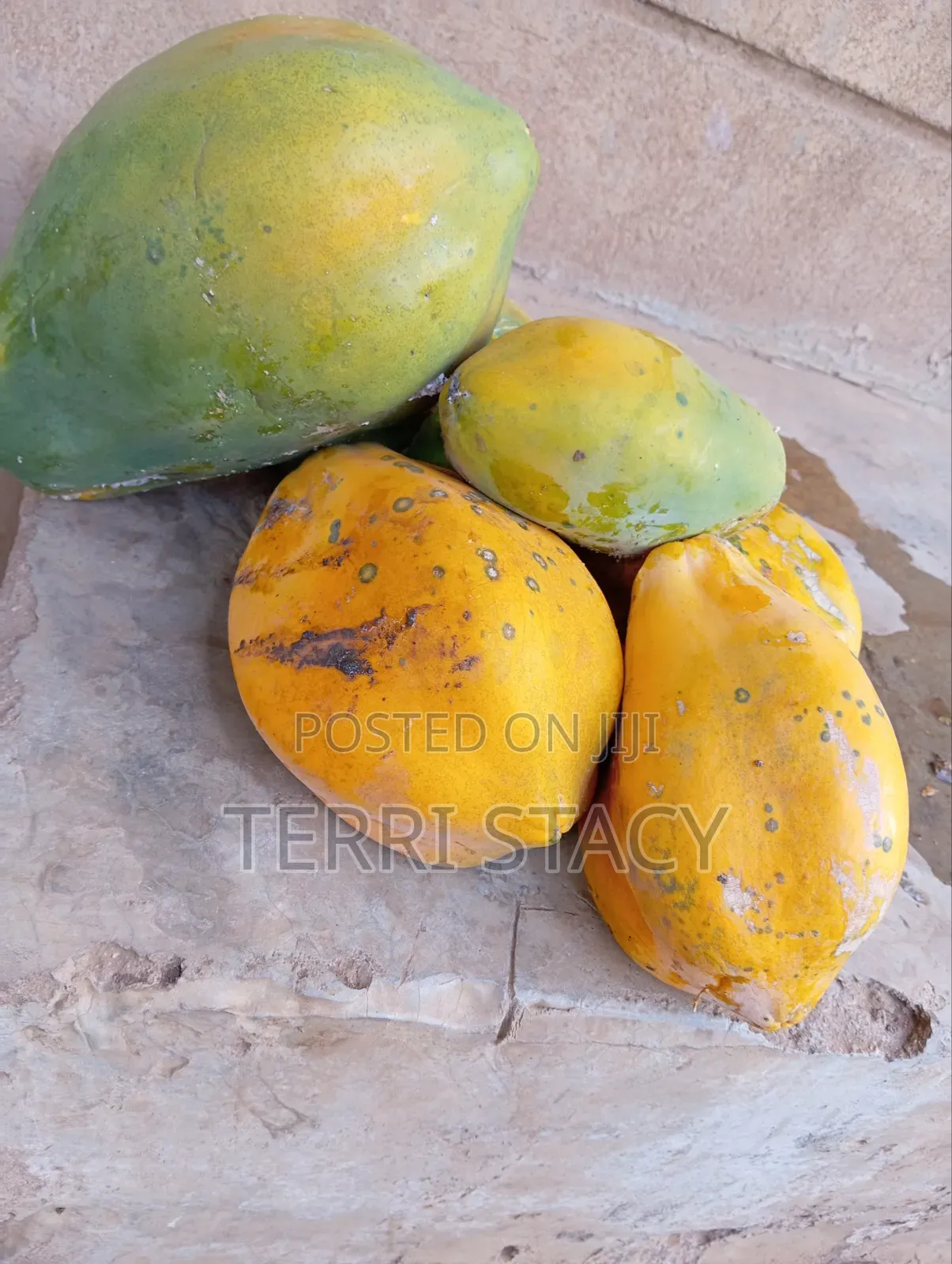 Papaya for Sell
