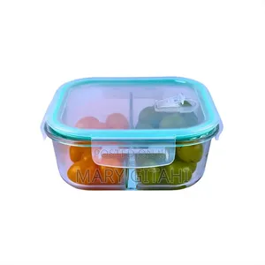 2 Grid High Borosilicate Glass Partitioned Lunchbox.*