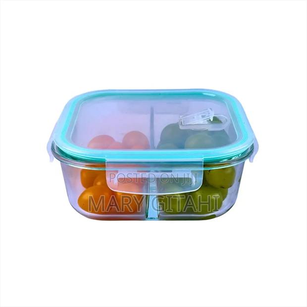 2 Grid High Borosilicate Glass Partitioned Lunchbox.*