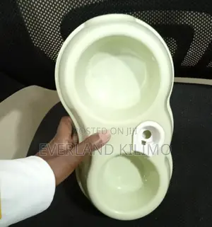 Automatic Water Feeding Double Bowl