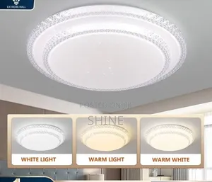 Modern Double Round Ceiling Light