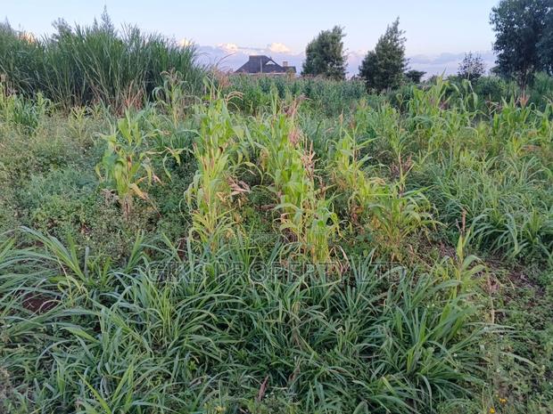 Plot for Sale