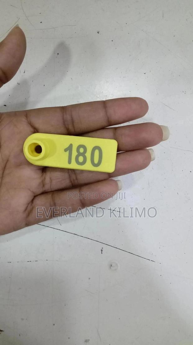 Yellow Numbered Slim Tags