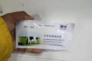 Cow Pregnancy Test Strips Early Detection for Cattle