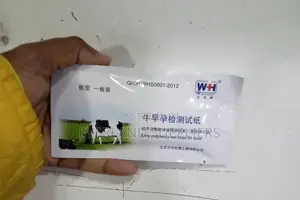 Cow Pregnancy Test Strips Early Detection for Cattle