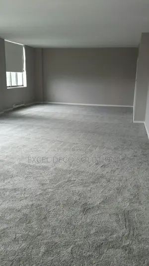 Delta Wall to Wall Carpet – Luxury Carpet for Professional Spaces
