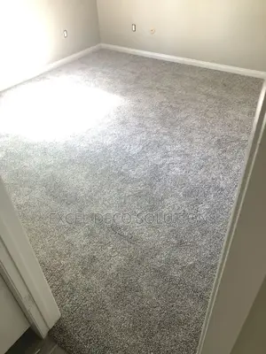 Delta Wall to Wall Carpet – Durable Flooring for High Traffic Areas