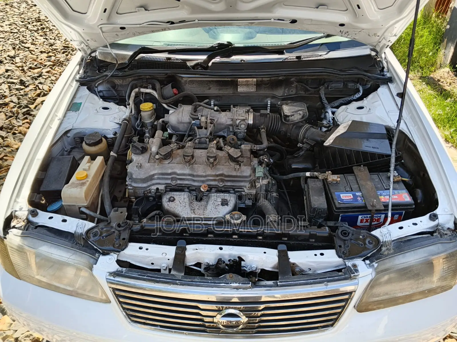 Nissan Sunny B15 Sedan 1.5 2004 White