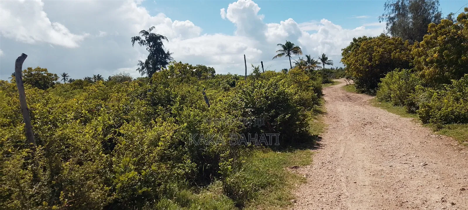 1 Acre Second Row Beach Plot