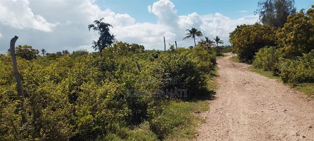 1 Acre Second Row Beach Plot