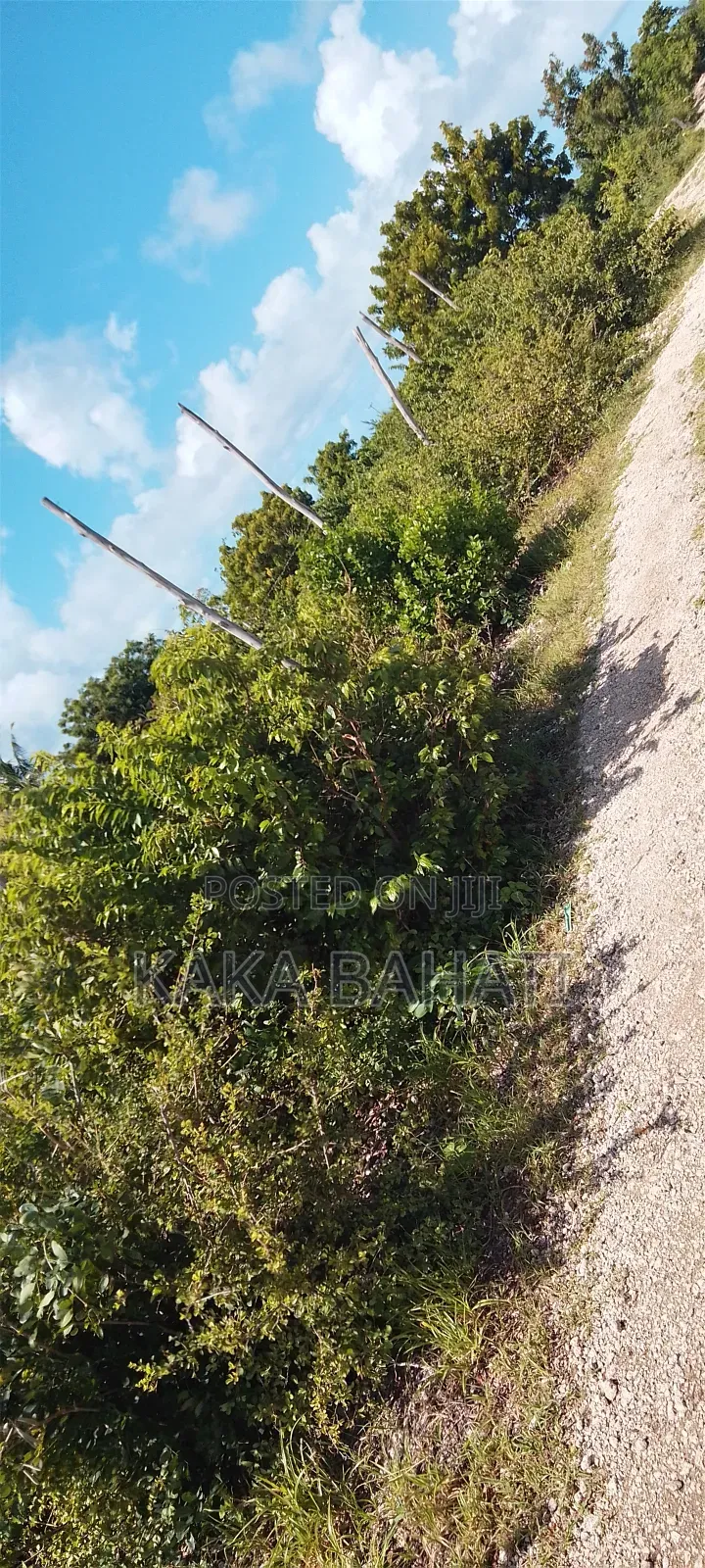 1 Acre Second Row Beach Plot
