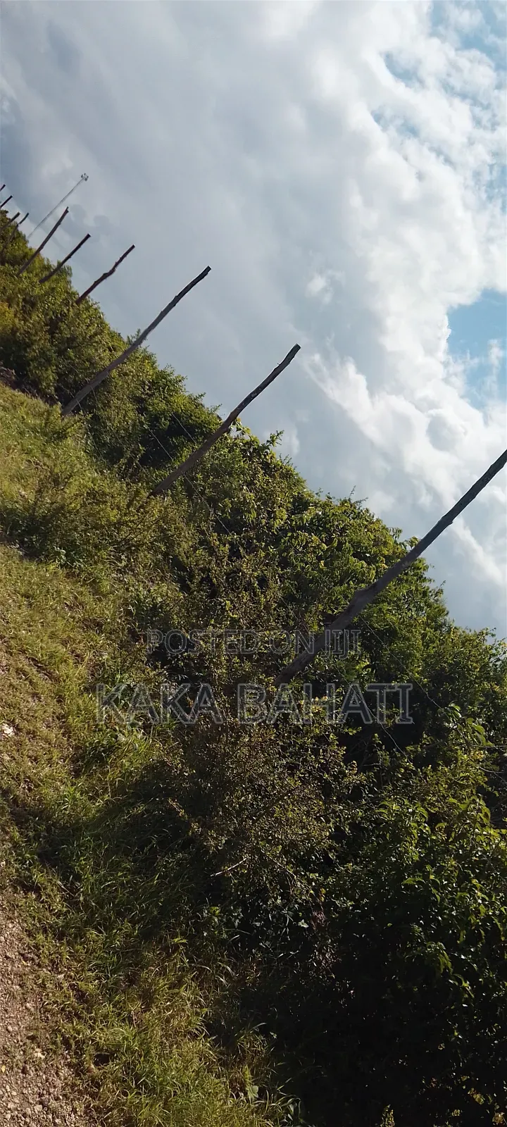 1 Acre Second Row Beach Plot