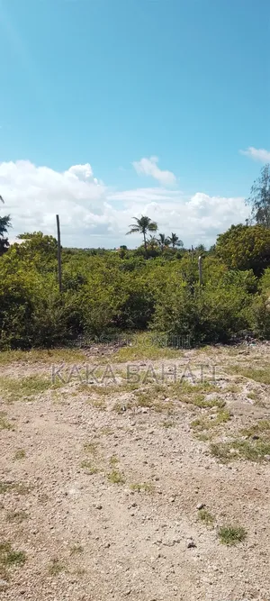 1 Acre Second Row Beach Plot