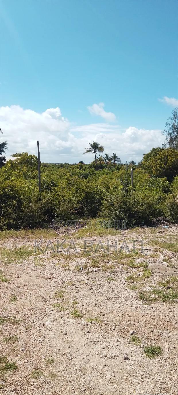 1 Acre Second Row Beach Plot - thumbnail 4