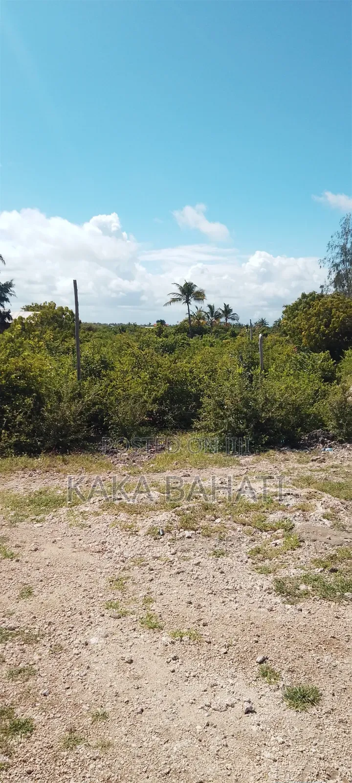 1 Acre Second Row Beach Plot