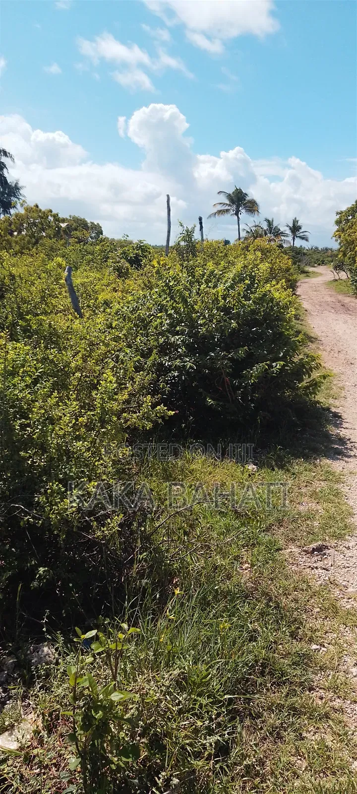 1 Acre Second Row Beach Plot