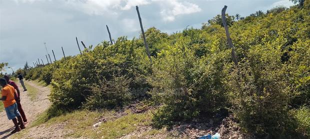 1 Acre Second Row Beach Plot - thumbnail 7