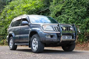 Toyota Land Cruiser Prado 2007 Gray
