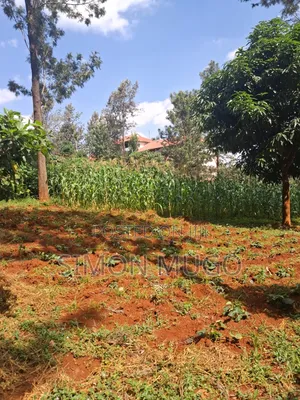 Thindigua Kiambu Road Prime Commercial 97x 163 Corner Plot