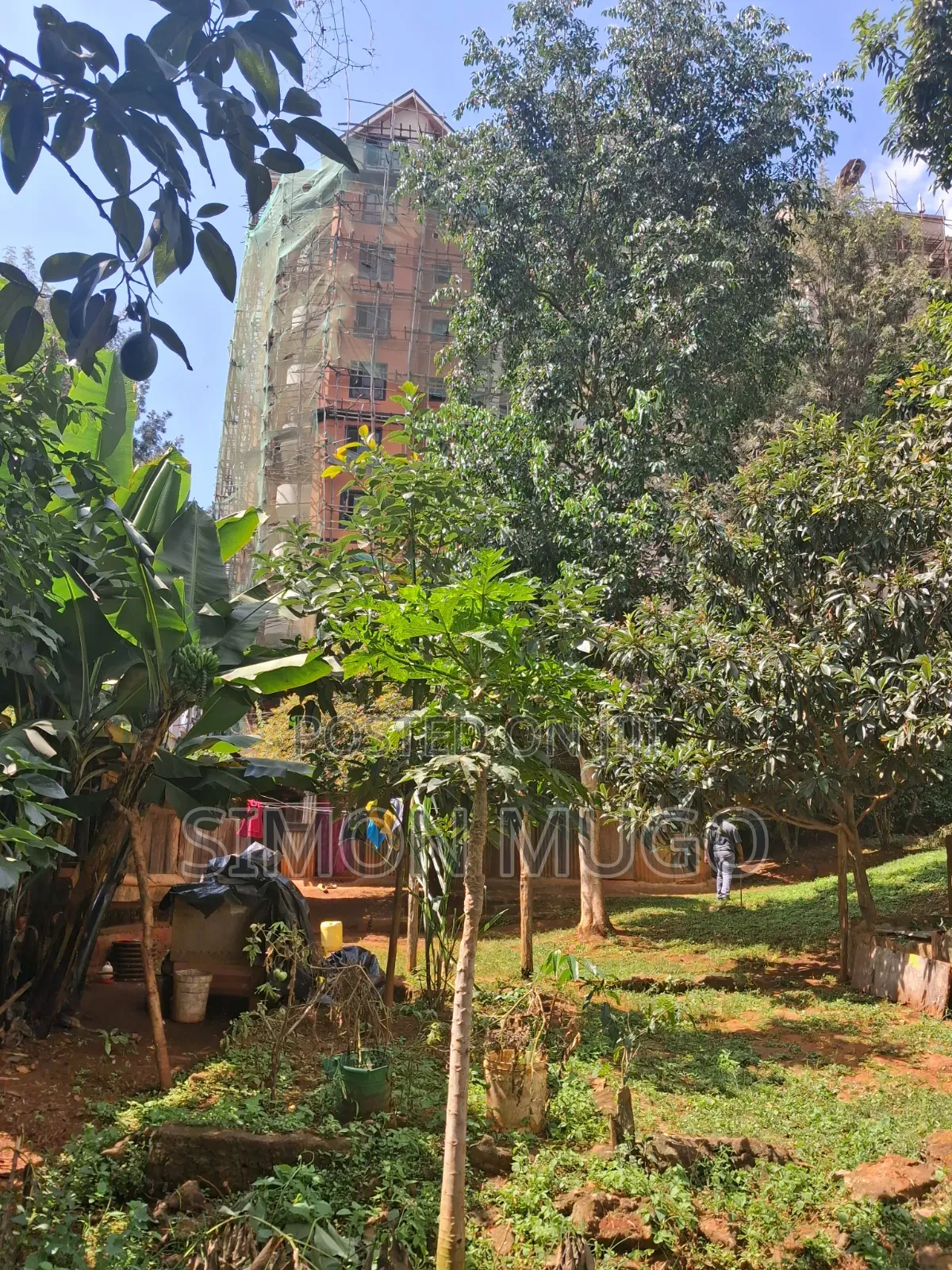 Thindigua Kiambu Road Prime Commercial 97x 163 Corner Plot
