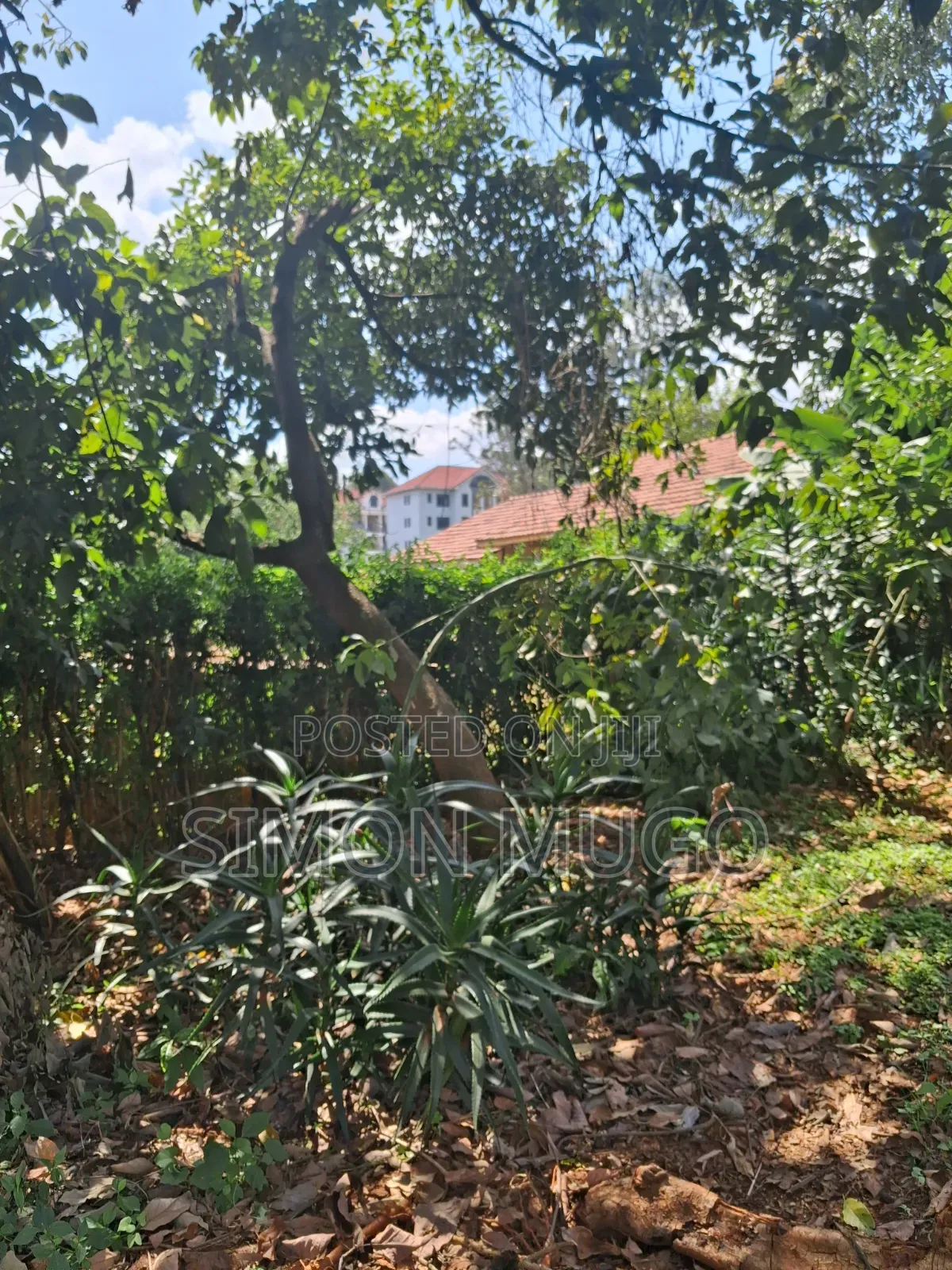 Thindigua Kiambu Road Prime Commercial 97x 163 Corner Plot