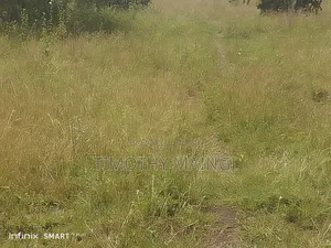 Plot on Sale
