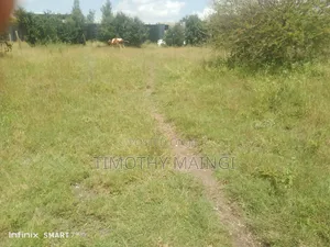 Plot on Sale
