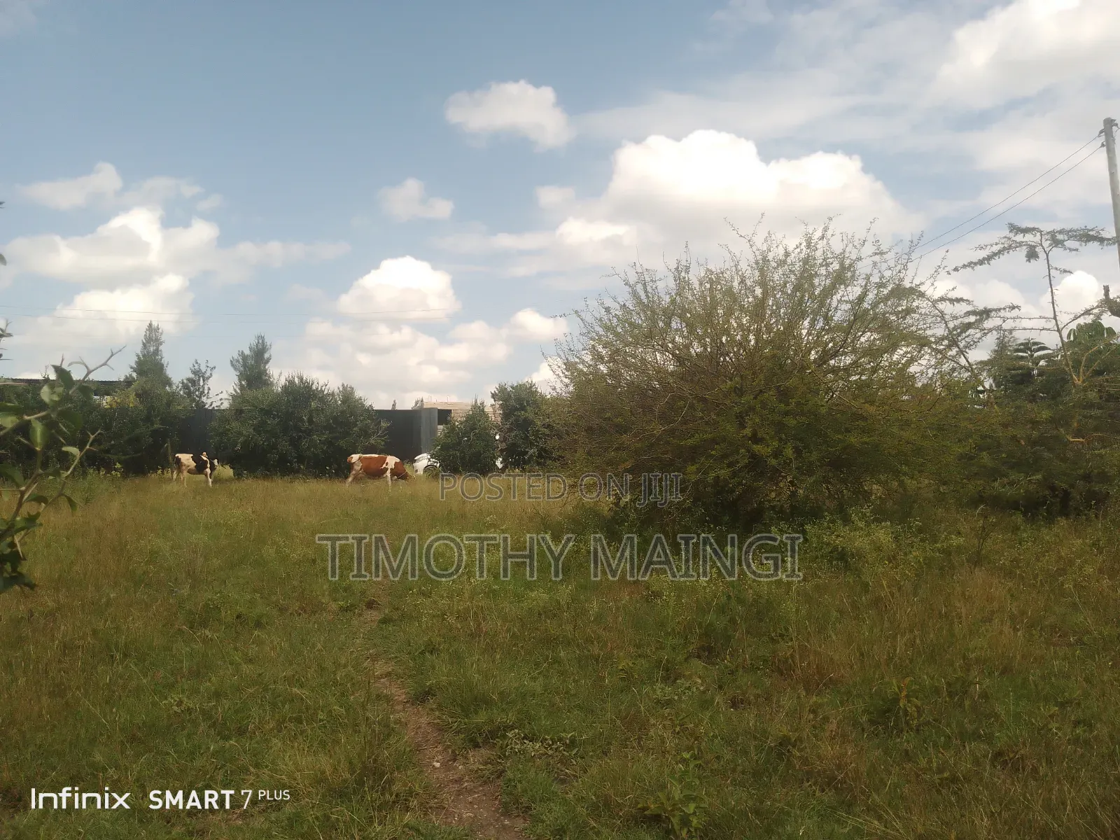 Plot on Sale