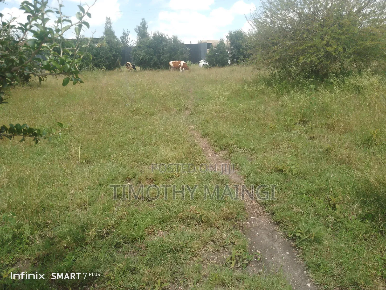 Plot on Sale