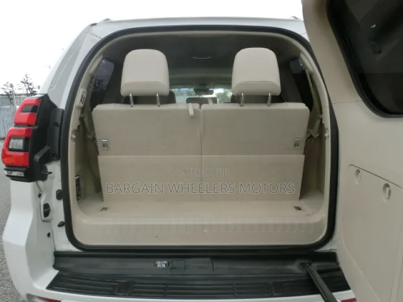 Toyota Land Cruiser Prado 2019 Pearl