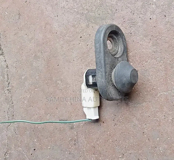 Door Light Switch Toyota Fielder