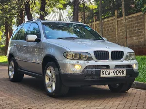 BMW X5 2007 Silver