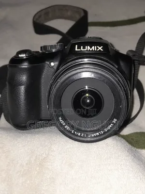 Lumix Fz200 Panasonic