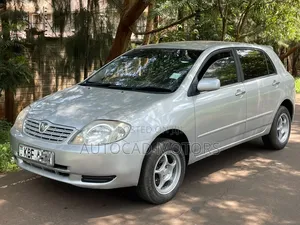 Toyota Allex 2003 Silver