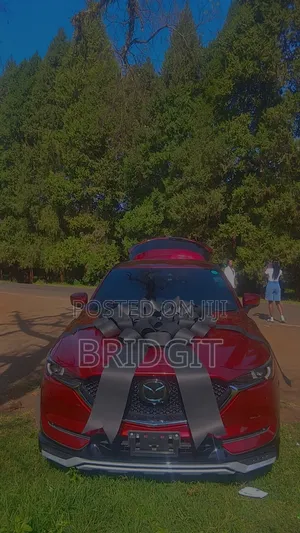 Car Ribbon