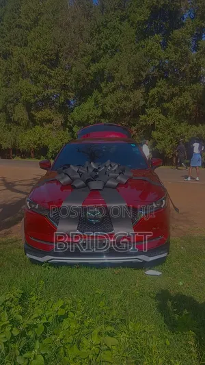 Car Ribbon