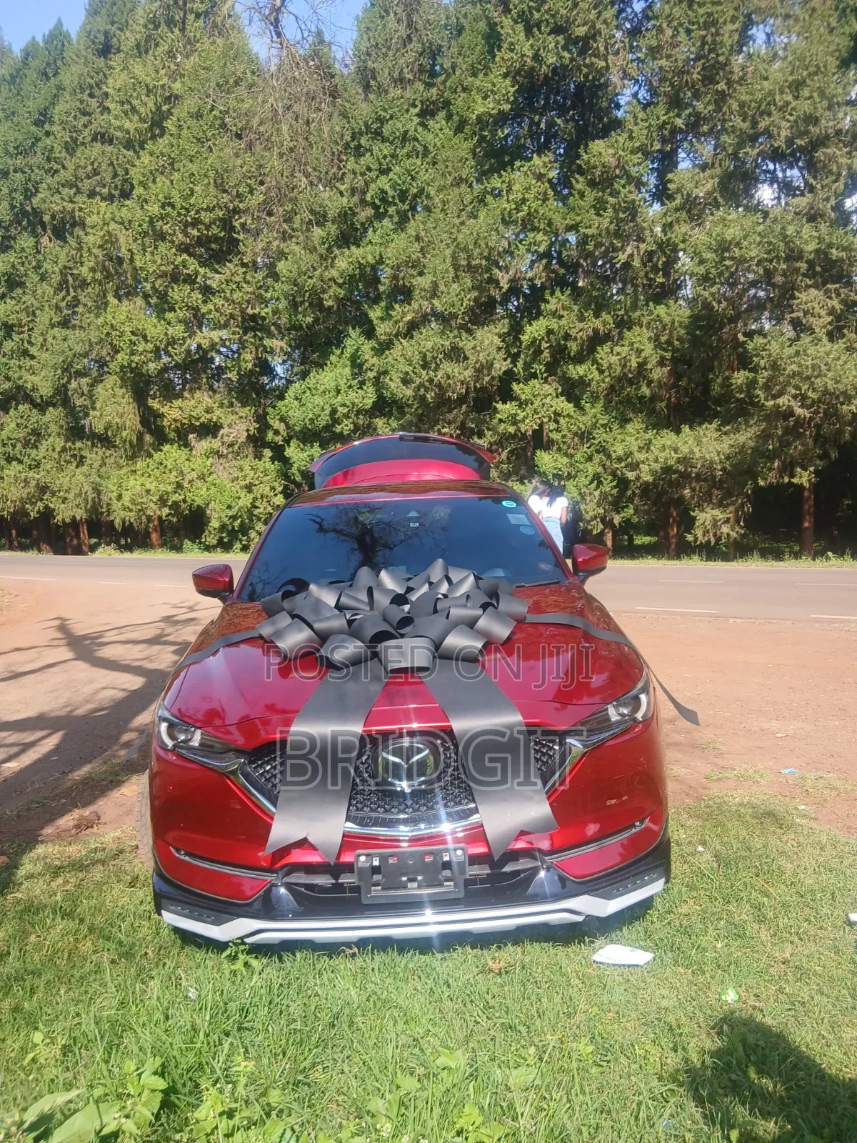 Car Ribbon
