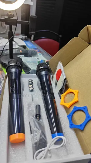 Lt-125 Wireless Mic System for Public Speaking Karaoke