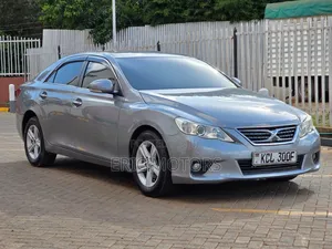 Toyota Mark X 2010 Gray