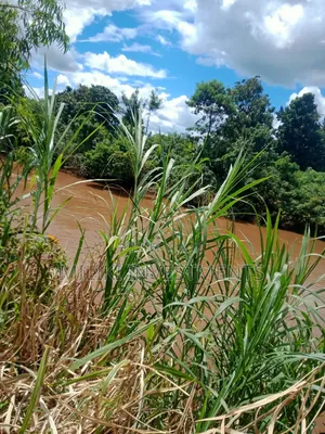 3.6 Acres on Sale at Sagana